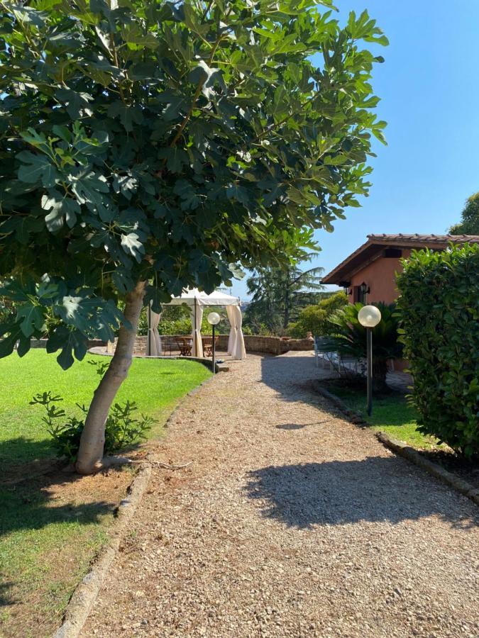 Villa La Casa Di Irene Nel Golf Club Roma Exterior foto