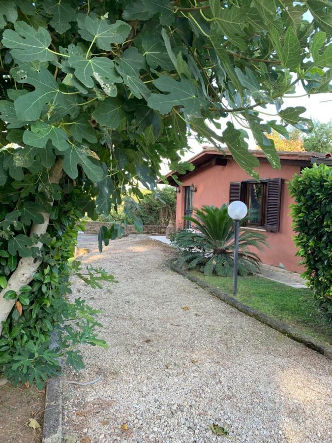 Villa La Casa Di Irene Nel Golf Club Roma Exterior foto